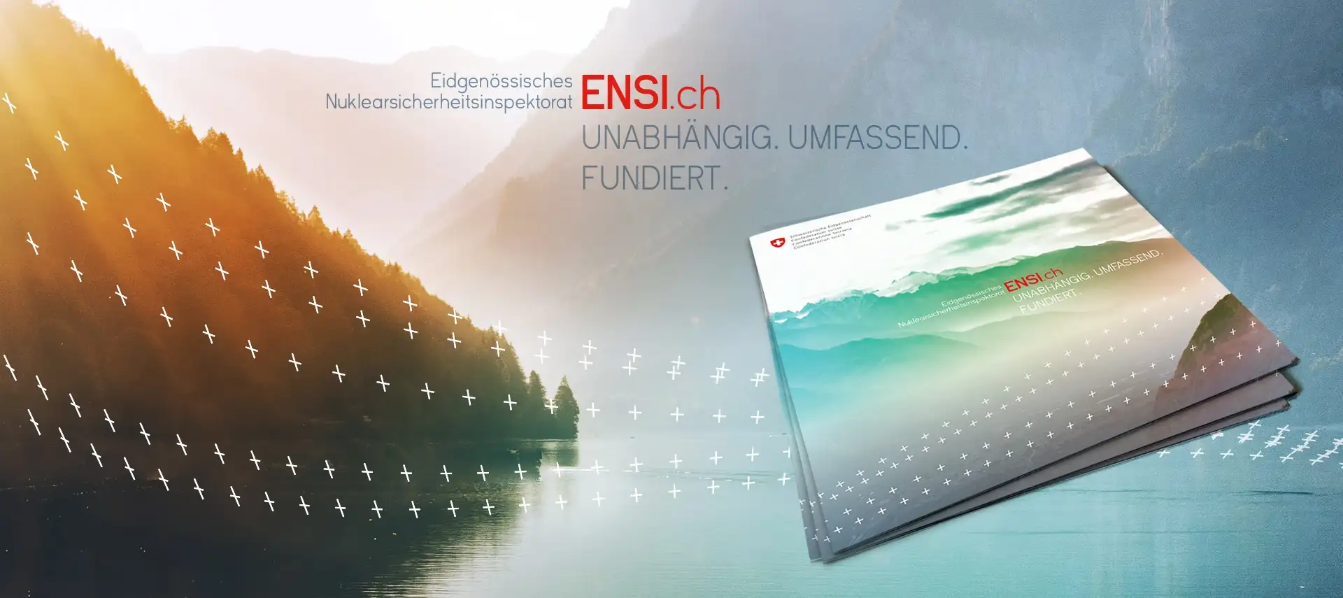 Neukunde: Das ENSI auf den Punkt gebracht