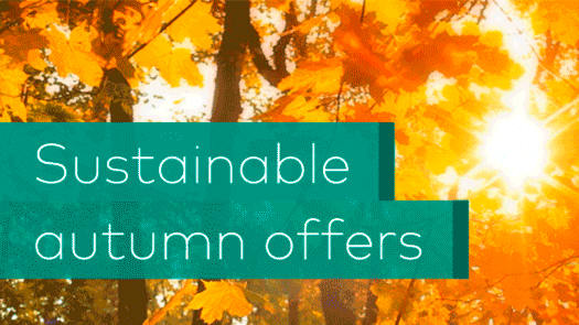 - file://QjWac96G5CujygyS